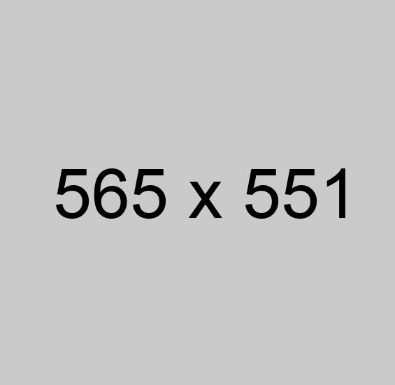auction-8